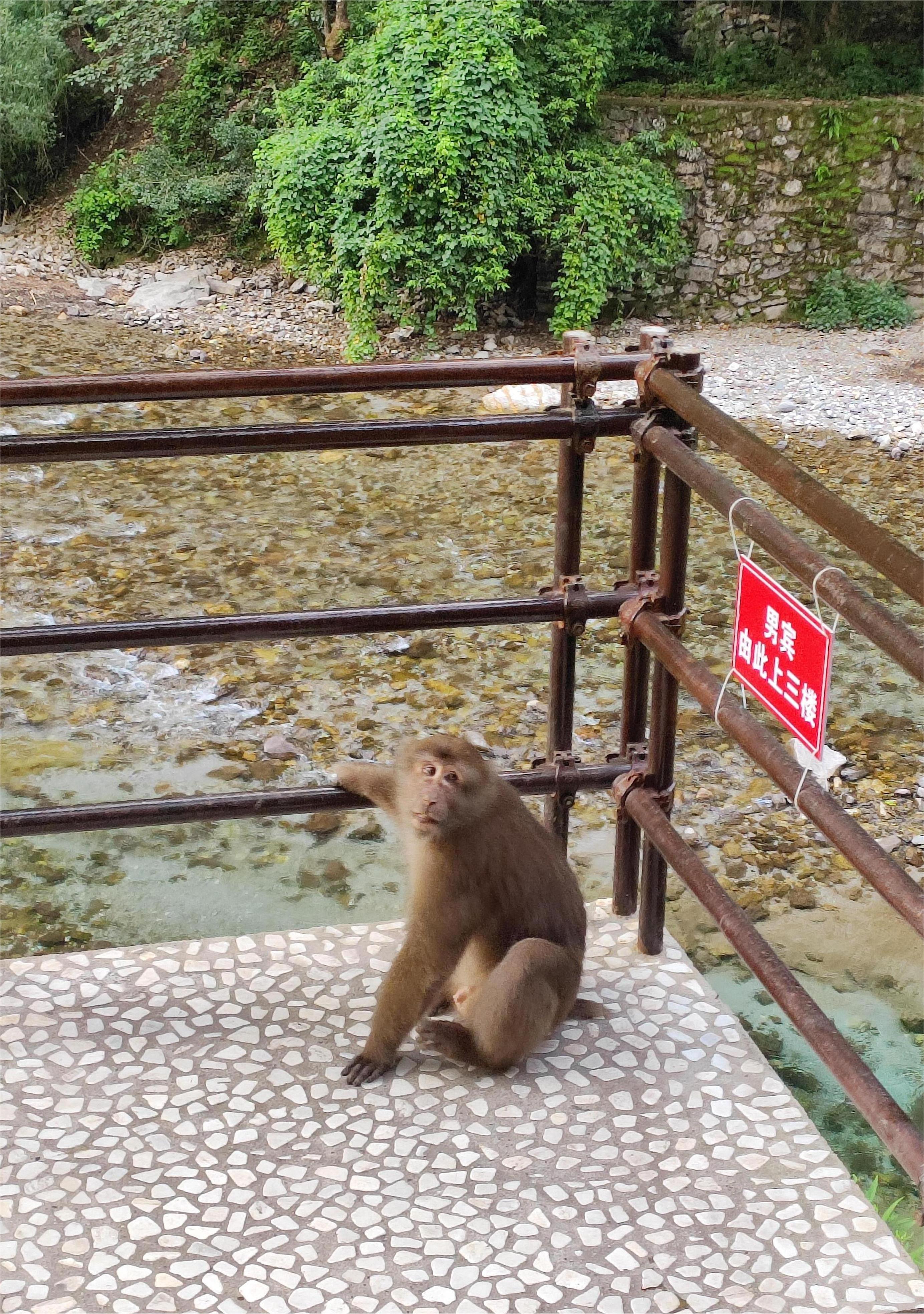 1692675001222453.jpg de83866dcccf92da73a8447e02705b0.jpg