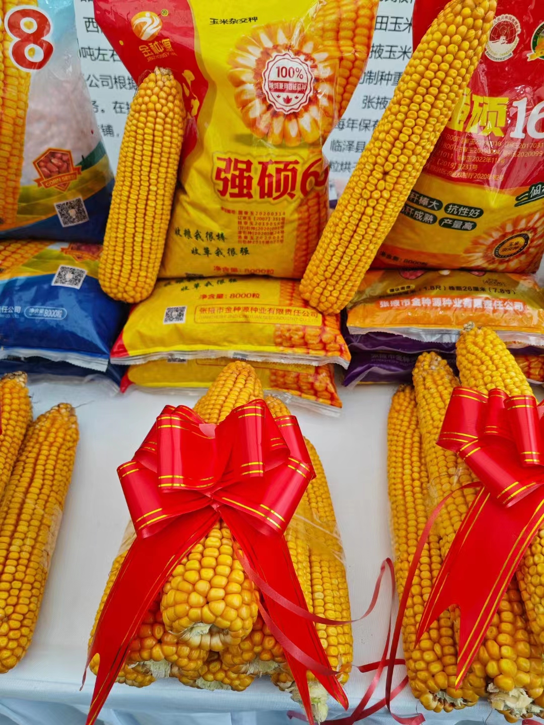 1700038751349242.jpg 7e7d197fbaa0e0a889a4ba03bc869df.jpg